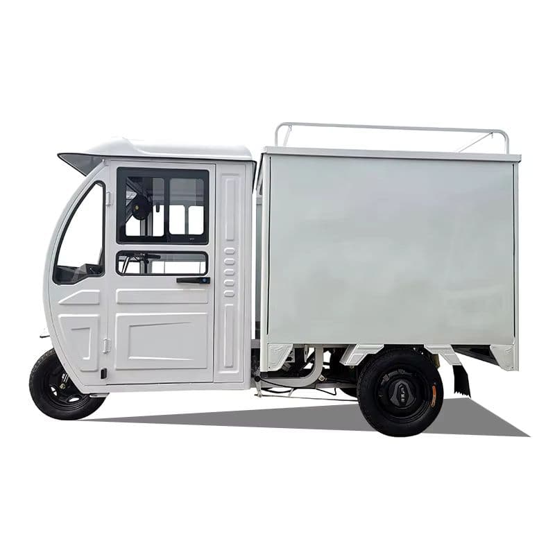 Electric Cargo Tricycle for Efficient Logistics with High Payload Capacity-sku-5