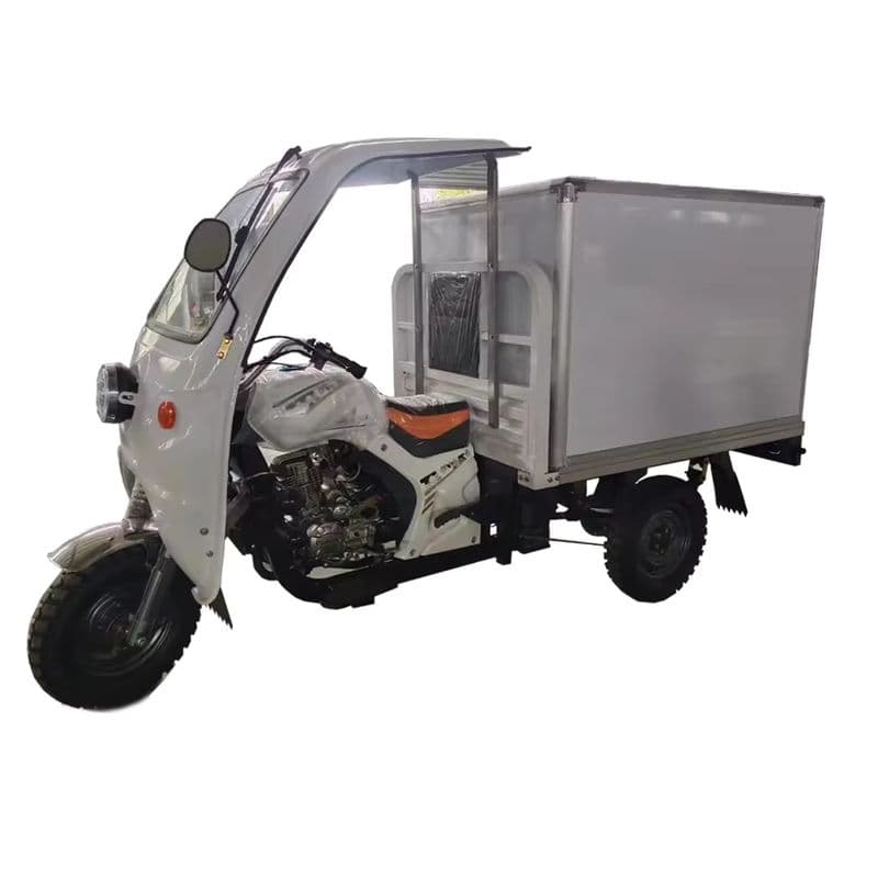 Refrigerated Electric Cargo Tricycle for Frozen Food Delivery-sku-1