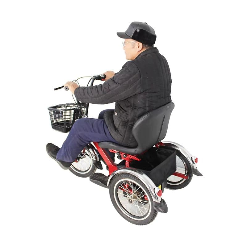 Foldable Electric Tricycle for Elderly and Children with Durable Design-sku-10