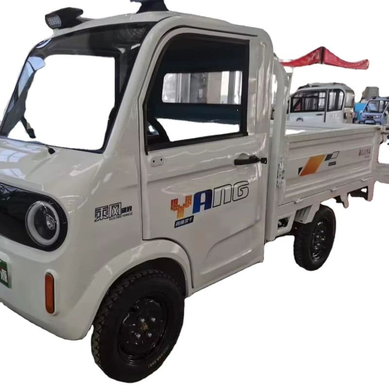 Electric Cargo Tricycle with High Efficiency and Customizable Features-sku-2