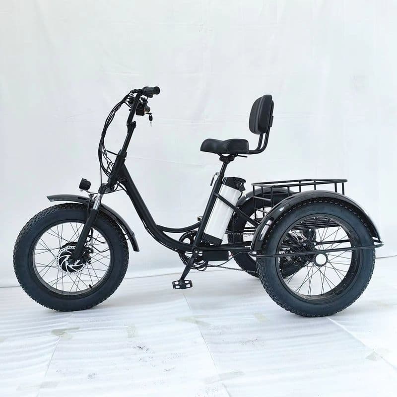48V Cargo Electric Tricycle with 500W Motor for Commercial Use-sku-4