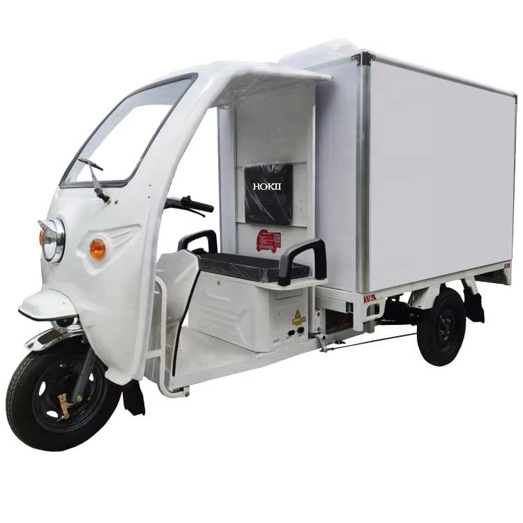 High-Performance Electric Tricycle for Efficient Cargo Transportation-sku-8
