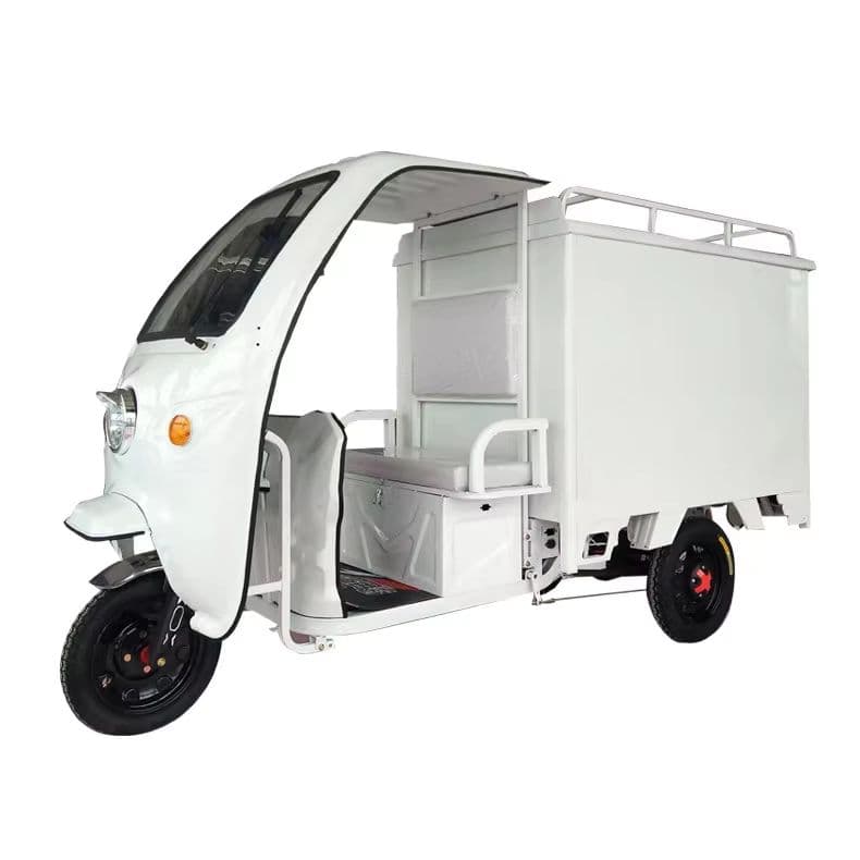 1000W Electric Three-Wheel Cargo Tricycle for Efficient Transport Solutions-sku-5