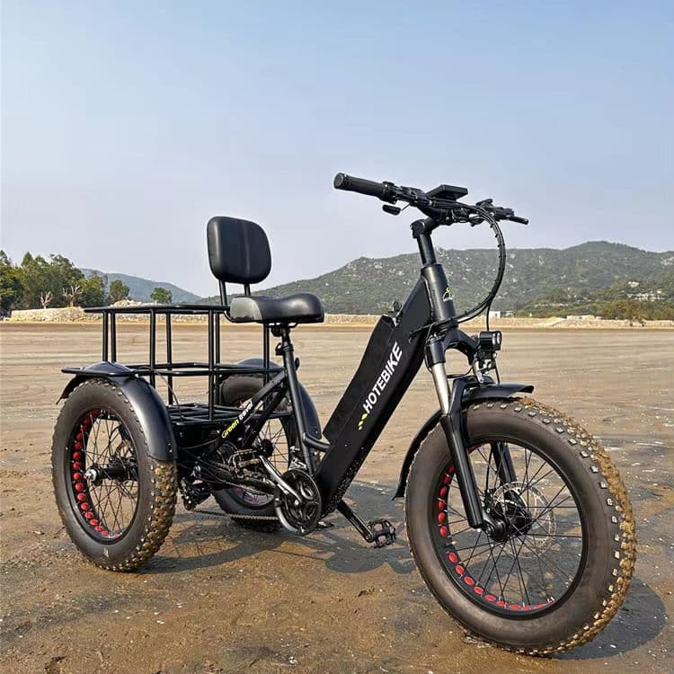 Affordable Electric Tricycles for Efficient Urban Commuting-sku-5