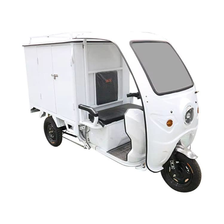 Electric Delivery Tricycle for Efficient Cargo Handling and Urban Logistics-sku-10
