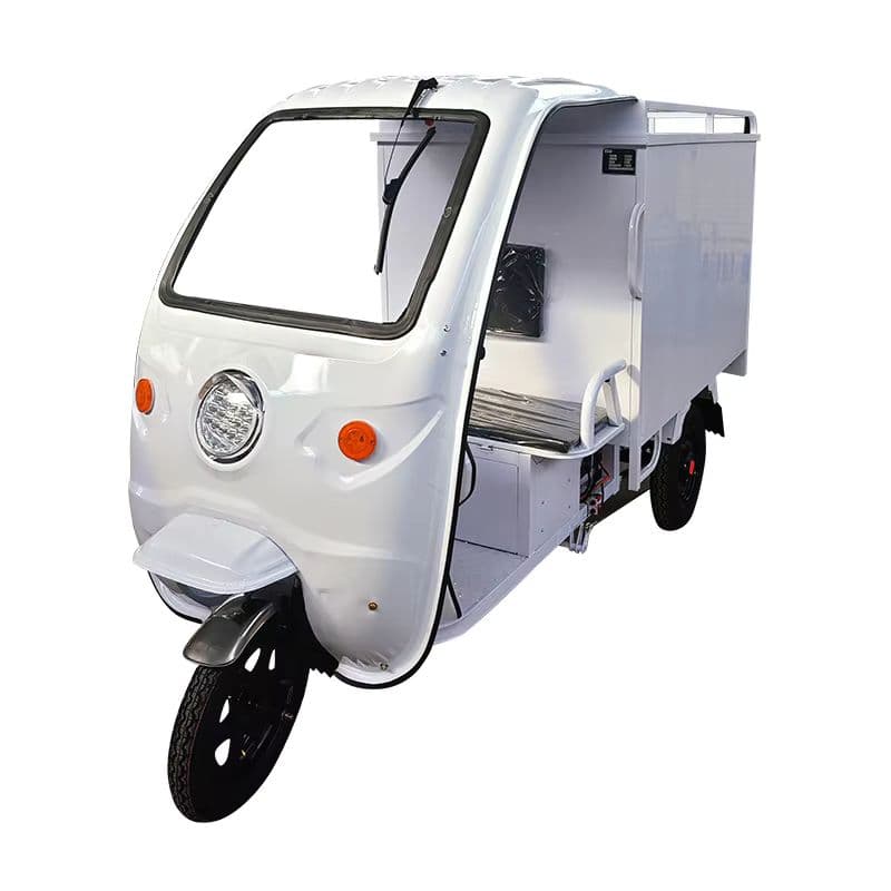 Three-Wheel Electric Cargo Bike with Cooling System for Efficient Ice Delivery-sku-0