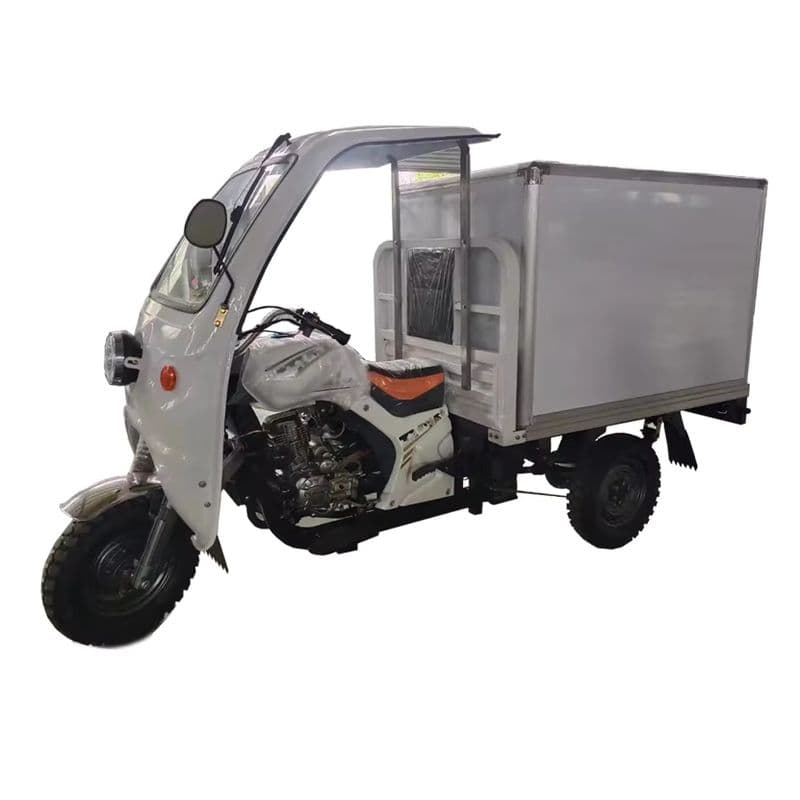 Electric Cargo Tricycle for Cold Transport in Diverse Industries-sku-9