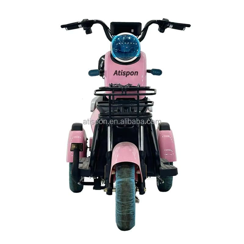 Versatile Electric Tricycle for Urban Transport and Recreation-sku-7