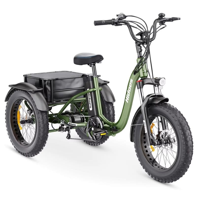 750W Electric Cargo Tricycle for Efficient Transport and Mobility Solutions-sku-9