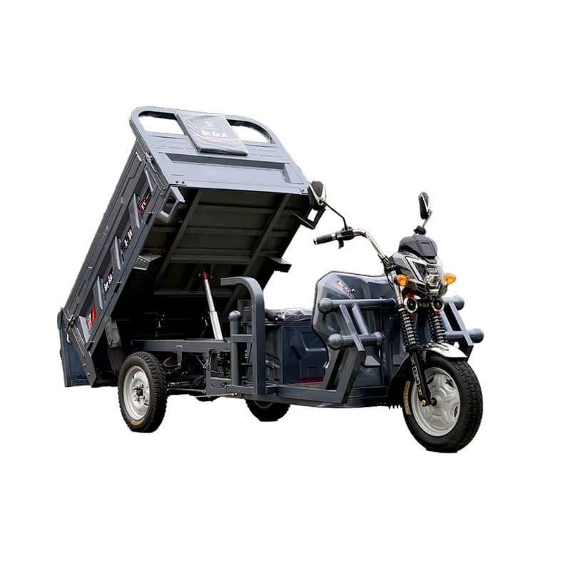 Heavy-Duty 1000W Electric Tricycle for Efficient Cargo Transport-sku-6