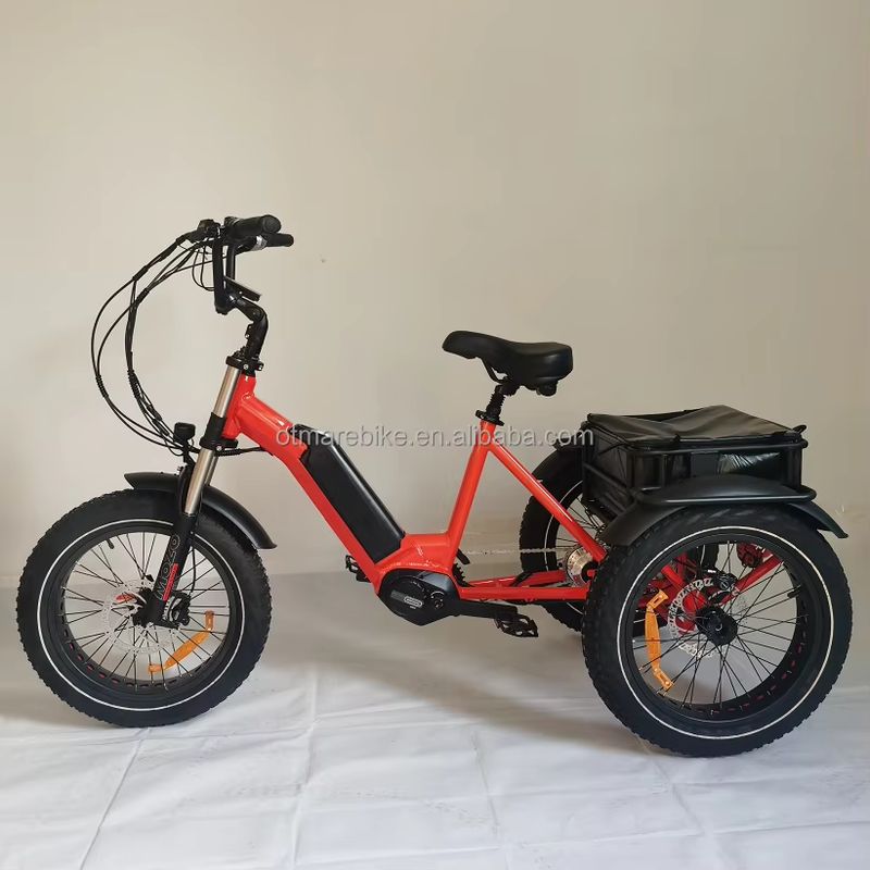 Durable 20-Inch Electric Fat Tire Tricycle for Efficient Urban Transport 3