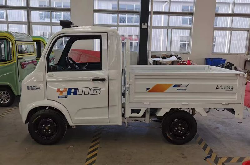 Electric Cargo Tricycle with High Efficiency and Customizable Features 2