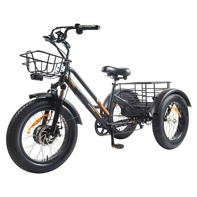 750W Electric Cargo Trike: High Performance for Efficient Transportation 3