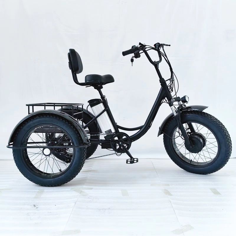 48V Cargo Electric Tricycle with 500W Motor for Commercial Use 3