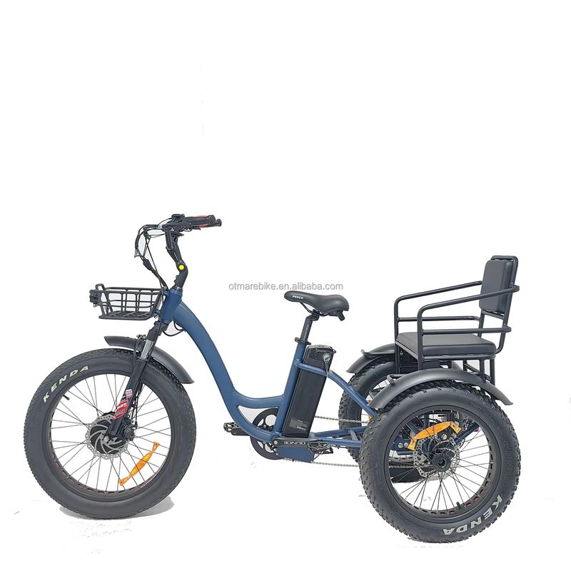 Electric Two-Seater Trike with Fat Tires for Enhanced Business Mobility 2