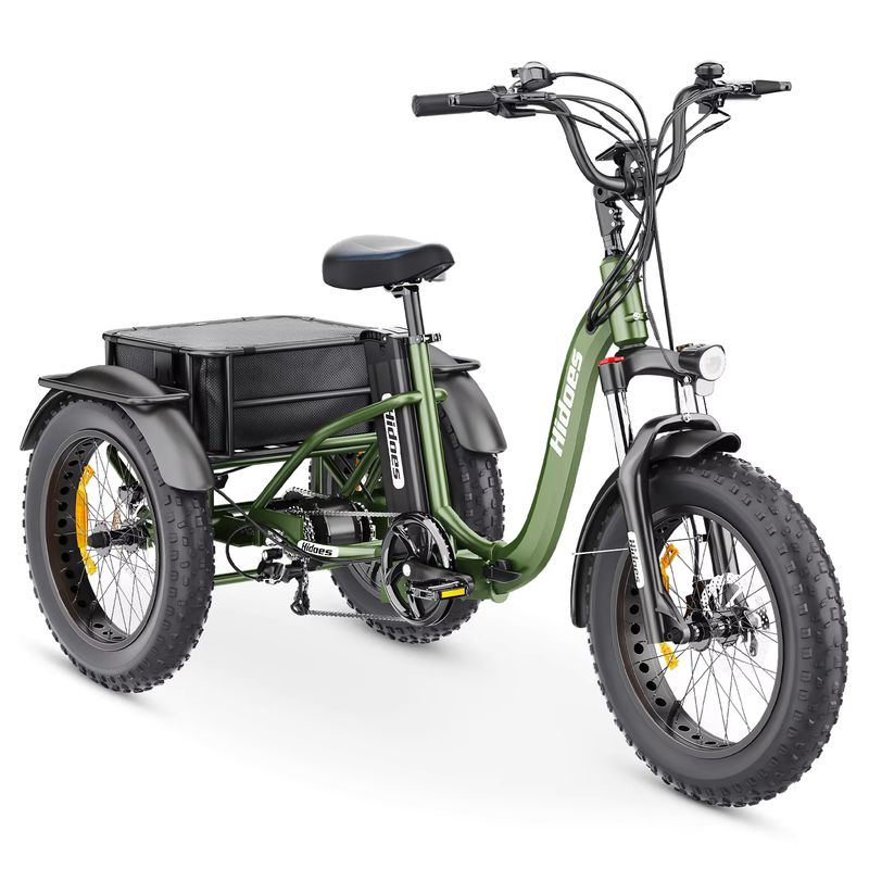 750W Electric Cargo Tricycle for Efficient Transport and Mobility Solutions 2