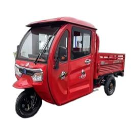 Versatile Electric 3-Wheel Cargo Tricycle for Efficient Logistics Solutions 2