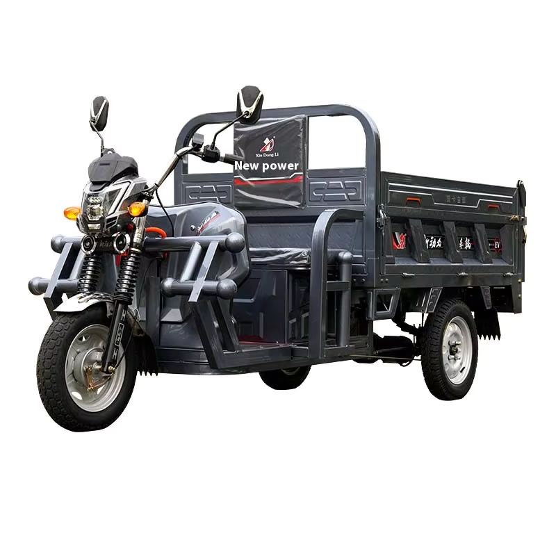 Heavy-Duty 1000W Electric Tricycle for Efficient Cargo Transport 2