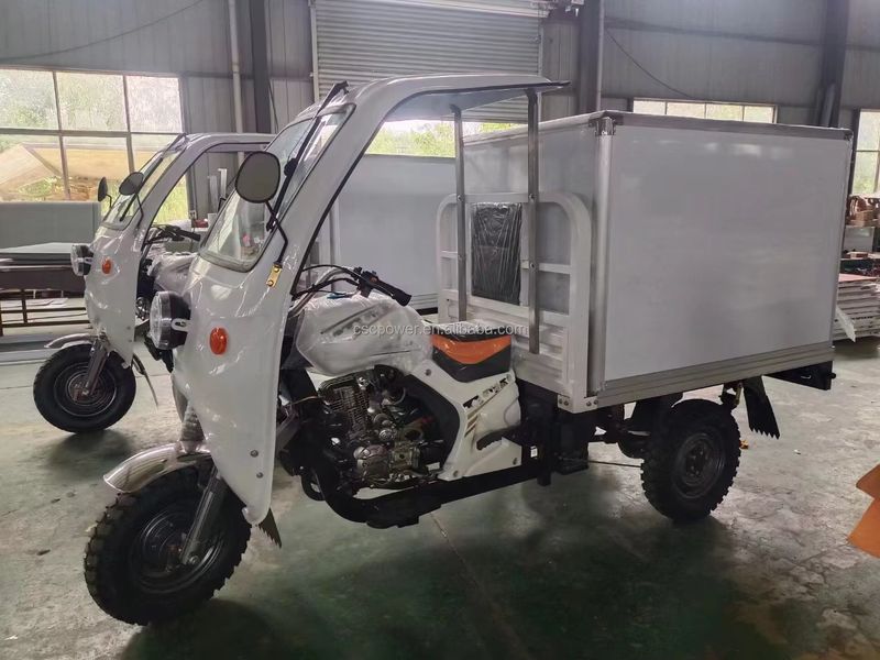 Tricycle cargo électrique réfrigéré pour la livraison de produits surgelés 2