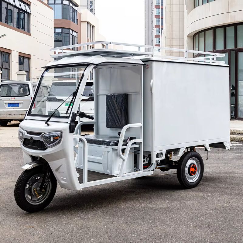 Electric Cargo Tricycle for Fresh Food and Distribution Services 2