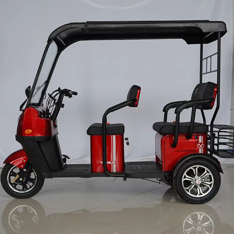 Enhanced Electric Tricycle for Two Adults with Superior Payload Capacity 2