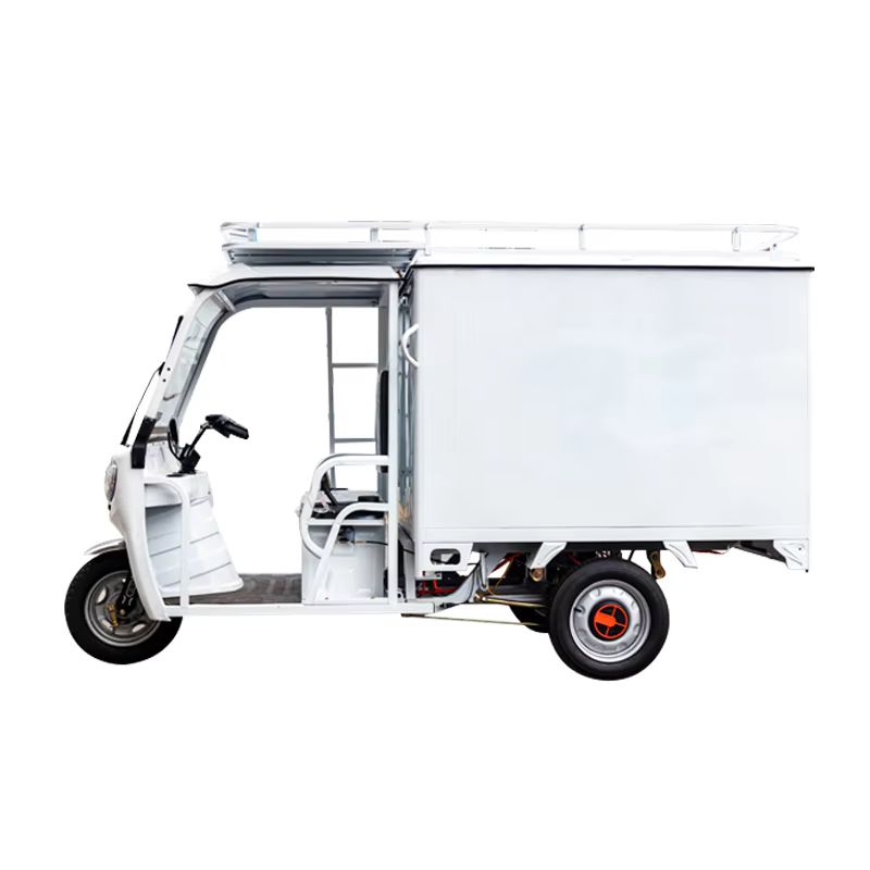 High-Performance Electric Tricycle for Efficient Cargo Delivery 2