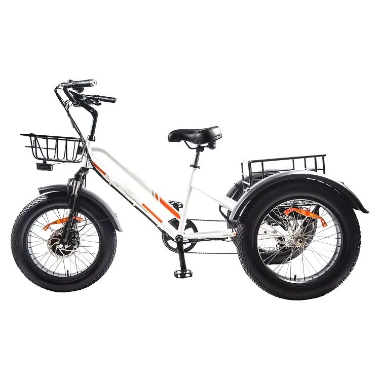 750W Electric Cargo Trike: High Performance for Efficient Transportation 2