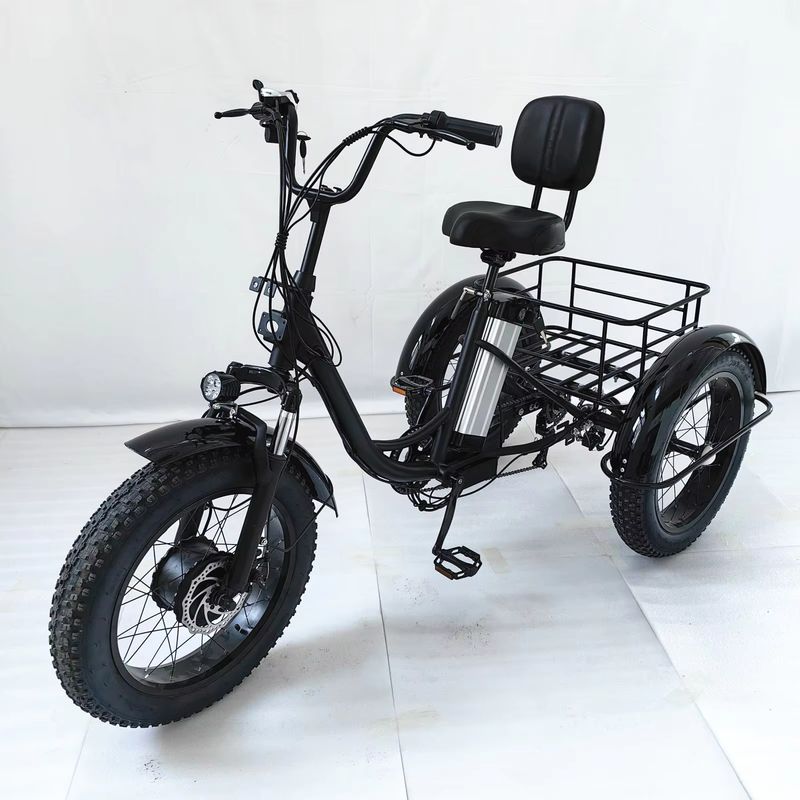 48V Cargo Electric Tricycle with 500W Motor for Commercial Use 2