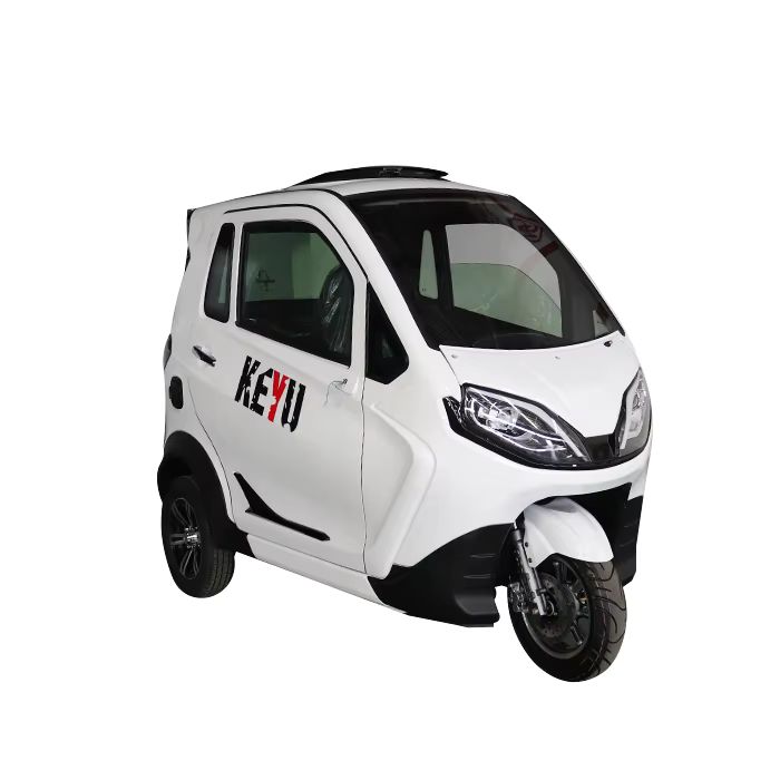 2024 EEC Certified Electric Tricycle for Passenger Transport 3